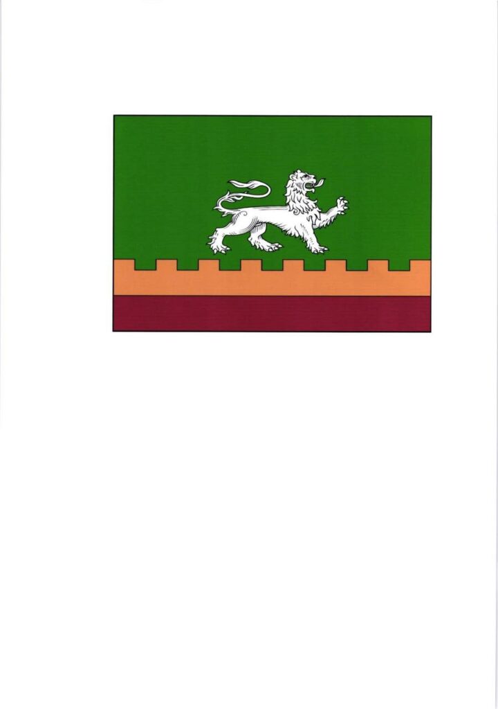 День флага и герба Тараклийского района