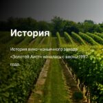 «Сделано, чтобы впечатлять: история успеха “Золотого Аиста”, начавшаяся с одного смелого шага»