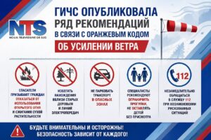 ГИЧС опубликовала ряд рекомендаций в связи с оранжевым кодом об усилении ветра