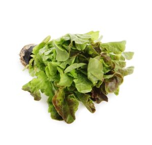 ANSA распорядилась уничтожить более 10 тонн испорченной зелени