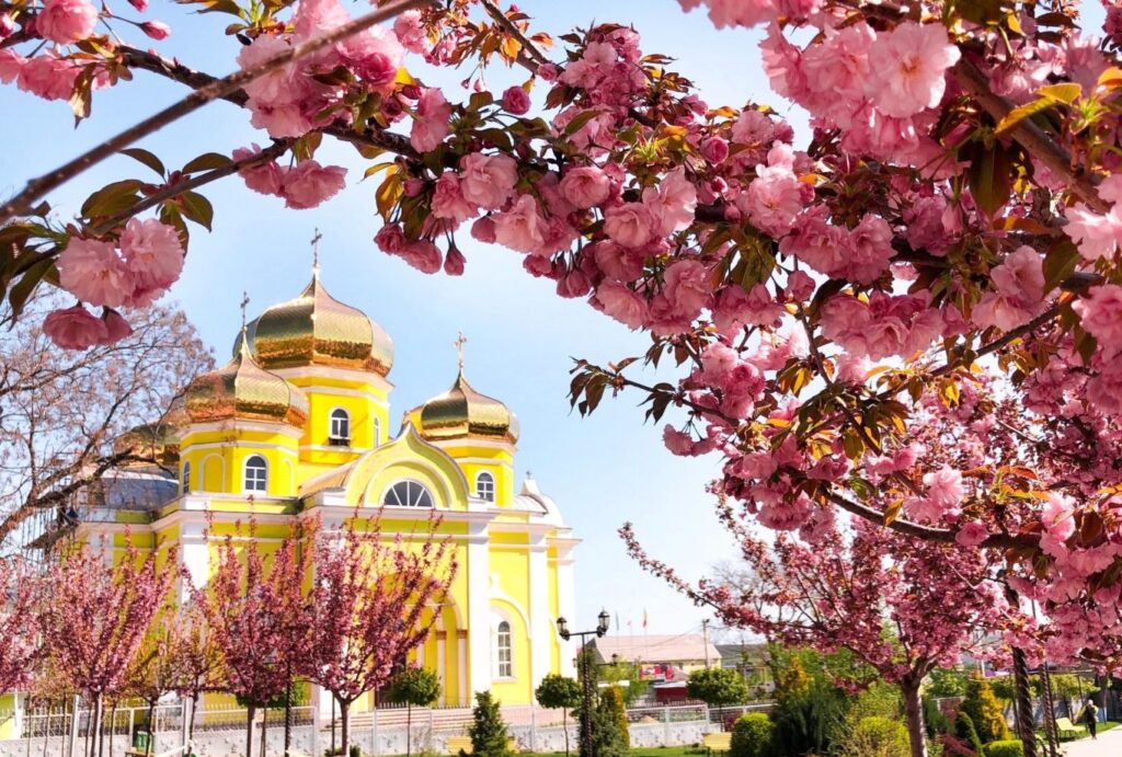 В Комрате пройдёт фестиваль детского творчества «ANA DİLİMİZ»