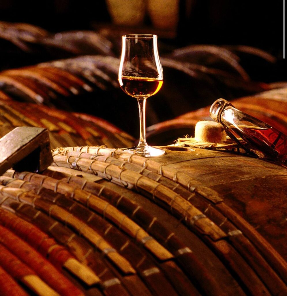 «Золотой Аист»: как традиции юга Молдовы превращаются в мировой стандарт качества