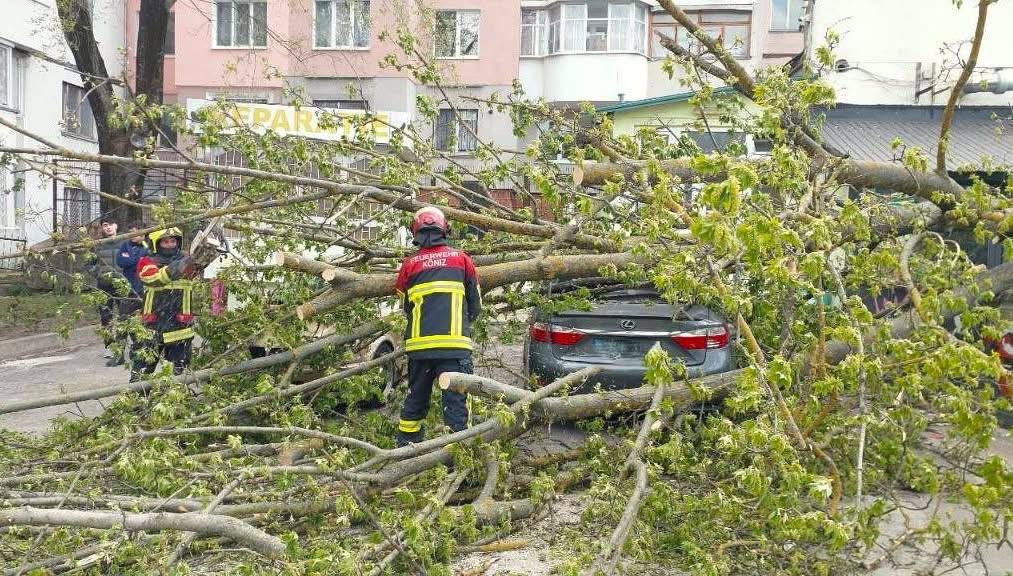 ГИЧС: Более 100 оперативных вмешательств были проведены 26 апреля из-за шквалистого ветра