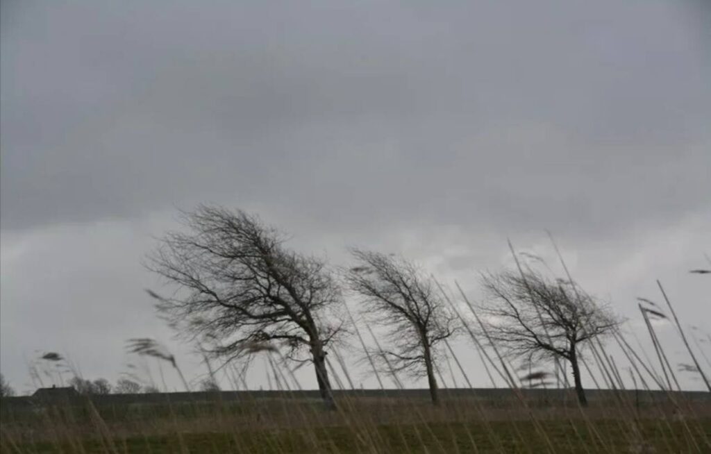 В Молдове объявлен «жёлтый» код опасности из-за сильного ветра