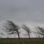 В Молдове объявлен «жёлтый» код опасности из-за сильного ветра