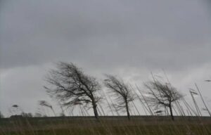 В Молдове объявлен «жёлтый» код опасности из-за сильного ветра