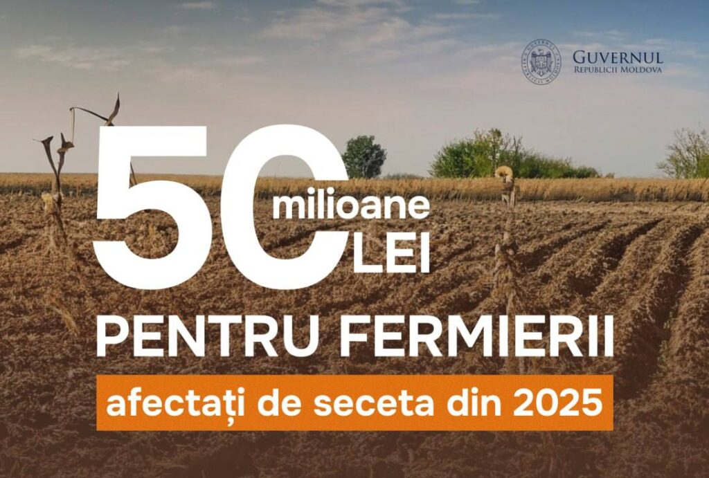 Правительство выделит 50 млн леев аграриям за потери от засухи 2025 года