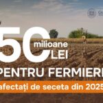 Правительство выделит 50 млн леев аграриям за потери от засухи 2025 года