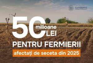 Правительство выделит 50 млн леев аграриям за потери от засухи 2025 года