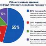 Общественное мнение: за кого будут голосовать жители Тараклии
