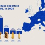 Электрооборудование, растительная продукция и мебель стали главными товарами молдавского экспорта в ЕС в 2025 году
