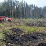 Во Франции на фоне жары вспыхнули лесные пожары