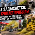 Пока Комрат задыхается, кто-то считает прибыль: жители жалуются на зловоние в городе