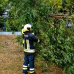 Отчет ГИЧС: Последствия непогоды в Молдове