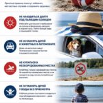 Лето — время отдыха, поездок и прогулок, но высокая температура, открытые водоёмы и сухая растительность требуют особой осторожности
