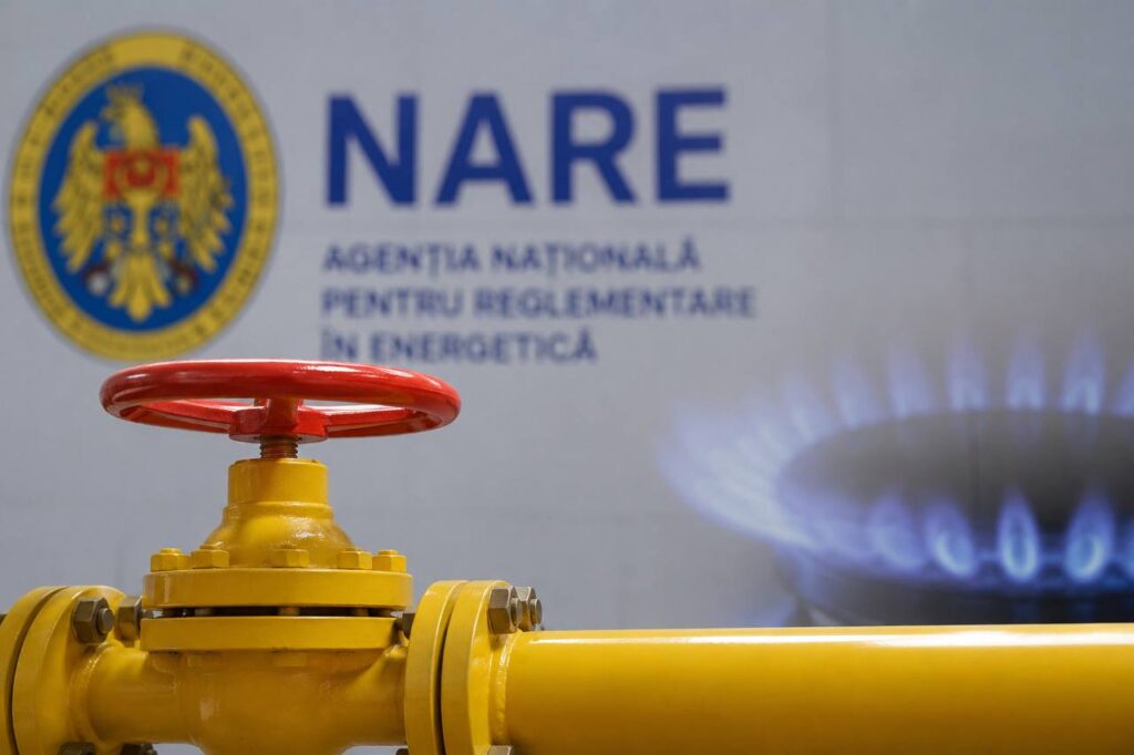 НАРЭ объяснило причины резкого подорожания природного газа