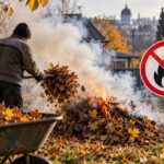 Сжёг листья — получил штраф: почему в Молдове запрещены осенние костры и что делать с листвой